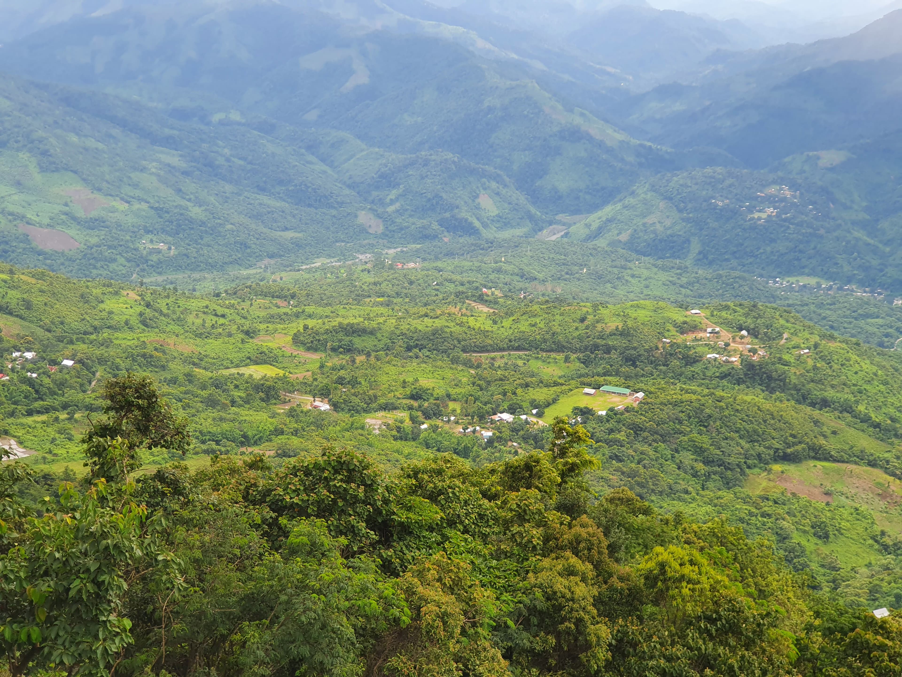 Neighborhood view