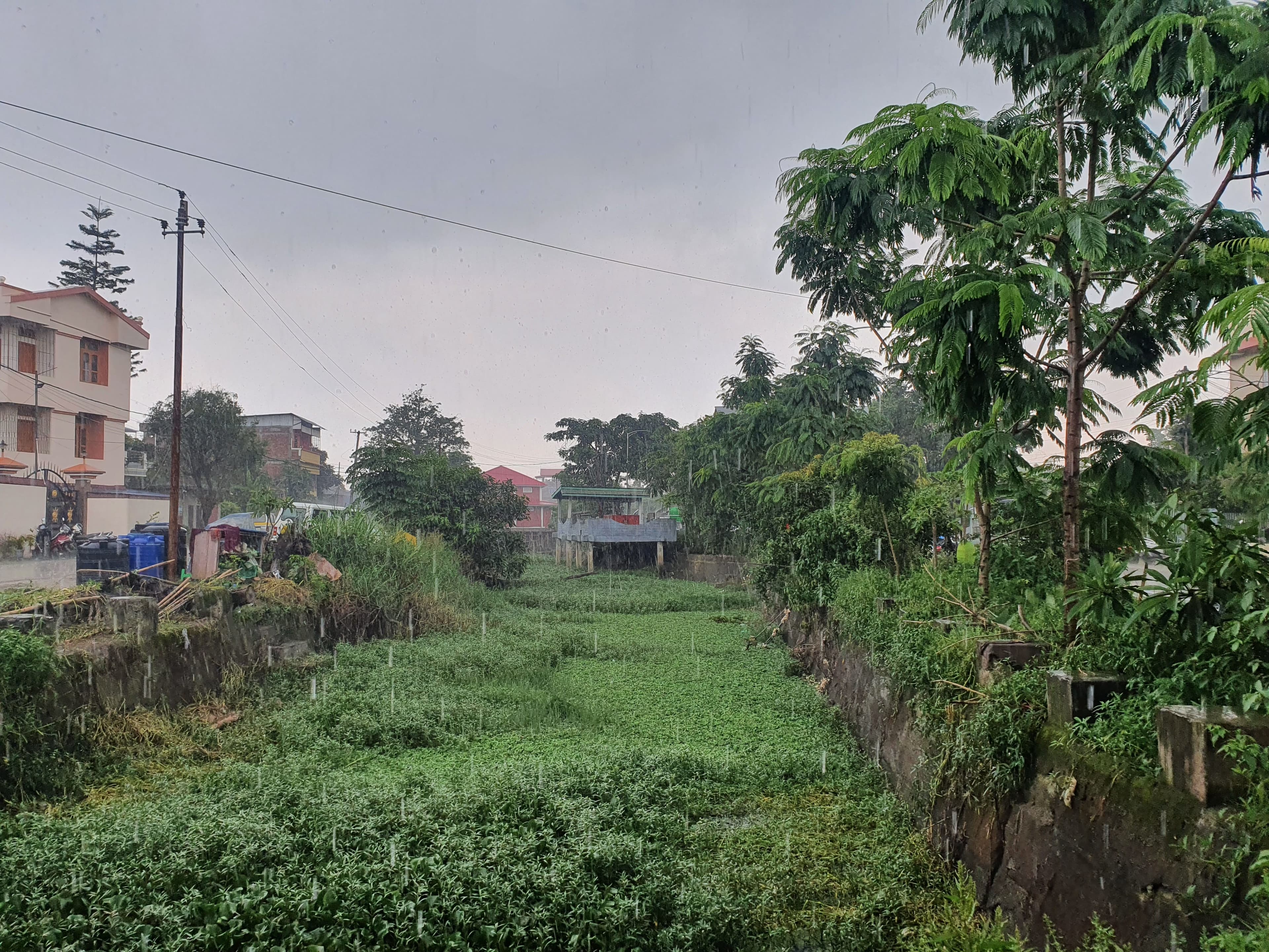 Fertile plains